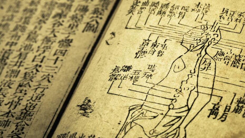 {{brizy_dc_image_alt entityId=